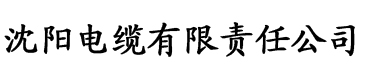 无码网站电缆厂logo